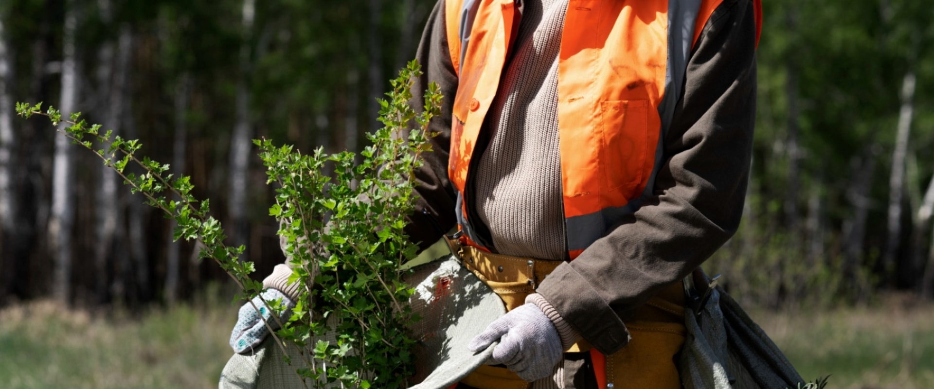 Transform Your Yard: How Gresham Landscape Contractors Handle Tree Removal And Landscaping