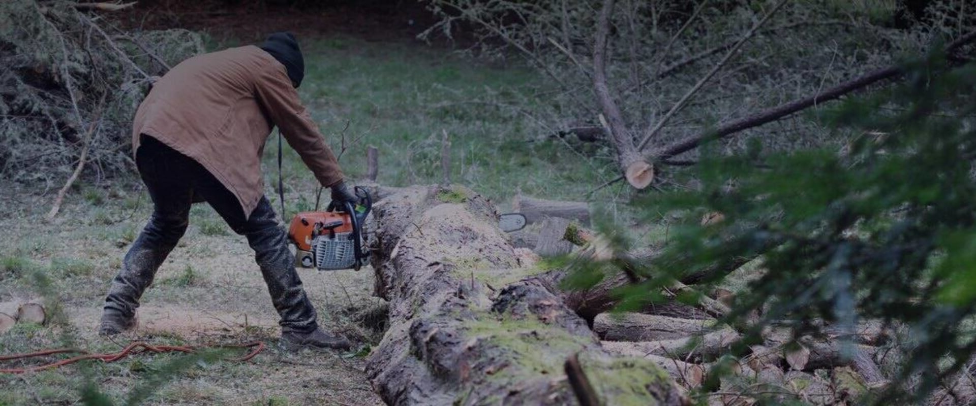 Professional Tree Service: A Crucial Partner For Landscape Contractors In Hillsborough County, New Hampshire