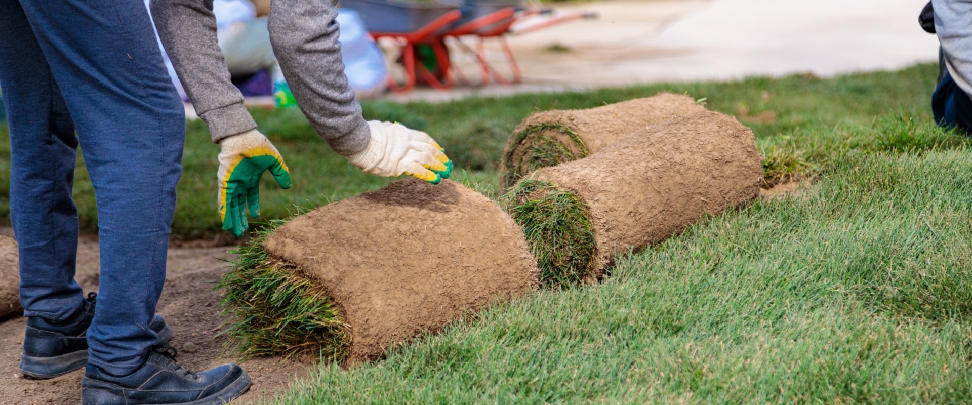 How Sod Suppliers In Austin, TX Help Landscape Contractors Thrive