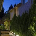 Seamless Integration: Enhancing Your Austin Landscape With Lighting After Contractor Work