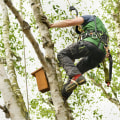 How Tree Pruning Services Support Landscape Contractors Work For Perfect Outdoor Spaces In Portland