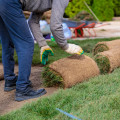 How Sod Suppliers In Austin, TX Help Landscape Contractors Thrive