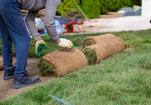 How Sod Suppliers In Austin, TX Help Landscape Contractors Thrive